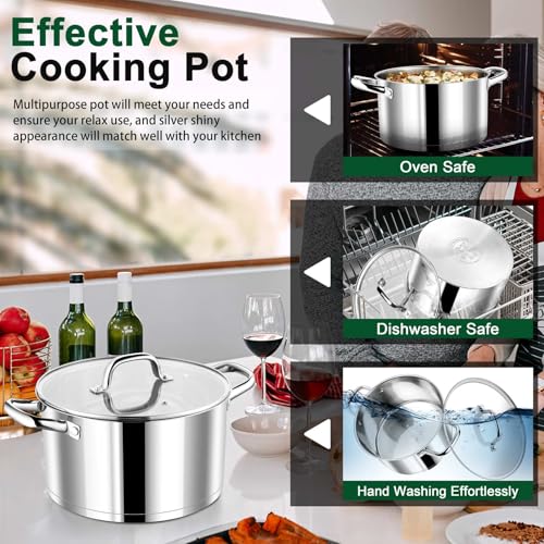 8 Quarts Stock Pot with Lid