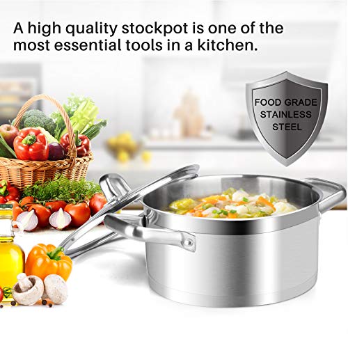 Stainless Steel Stock Pot with Lid