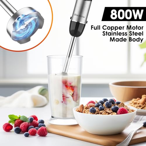 Immersion Blender Handheld