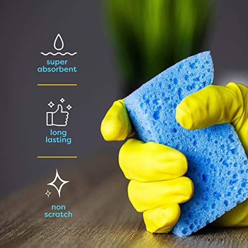 48 Pack Kitchen Sponges Dish Sponge for Washing Dishes (48 Count)