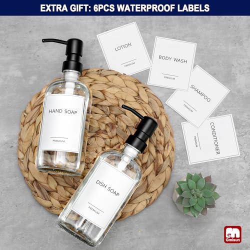 Glass Soap Dispenser with Pump (2 Count)