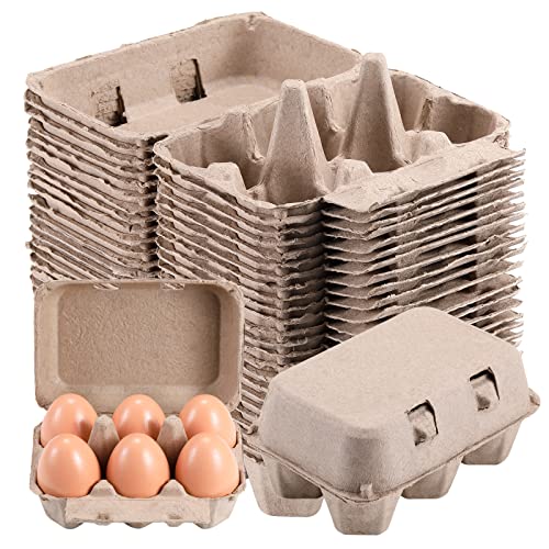 Half Dozen Egg Cartons Cheap Bulk 100 Pack (100 Count)