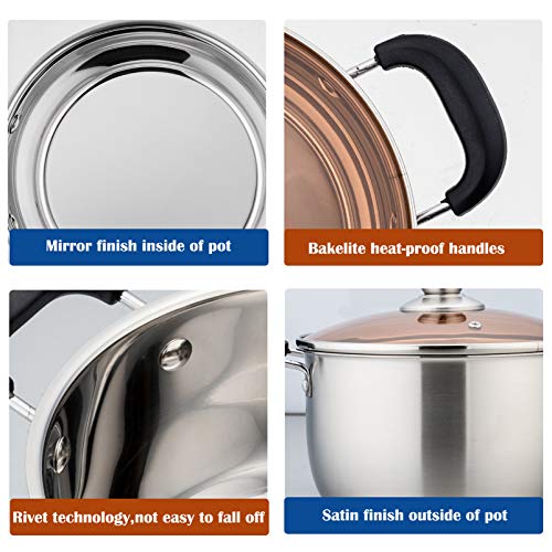 6 Qt Stockpot with Lid