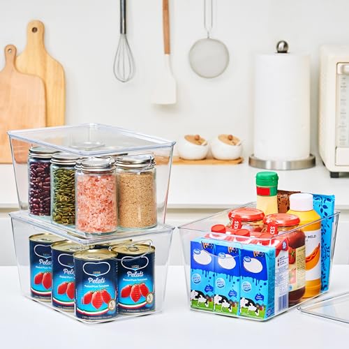 Large Clear Storage Bins with Lids (8 Count)