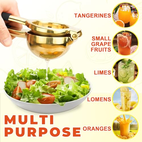 Lemon Squeezer