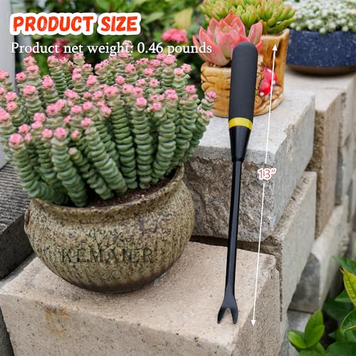 5 Piece Garden Tool Set (5 Count)