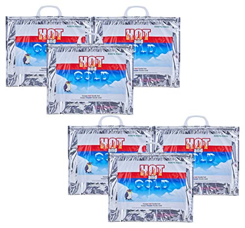 Hot and Cold Insulated Bags for Food Delivery