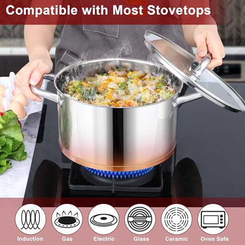 6 QT Stainless Steel Stock Pot