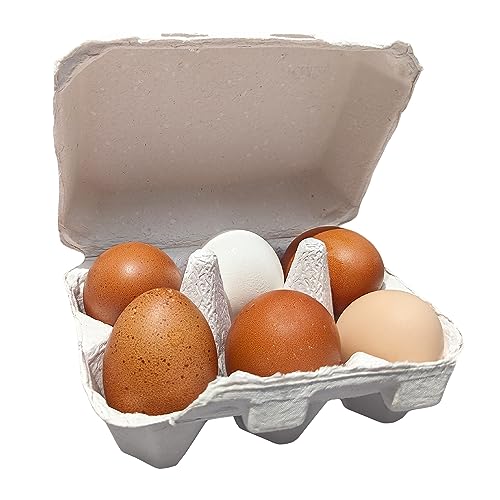 White Half Dozen Blank Egg Cartons (20 Count)