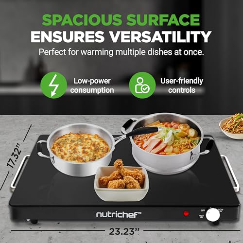 Electric Warming Tray