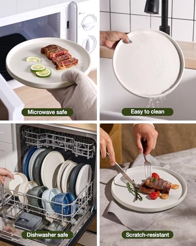 Star 8 Piece Plates and Bowls (8 Count)
