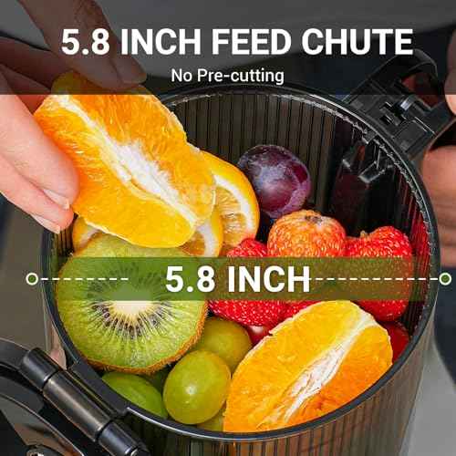 Cold Press Juicer