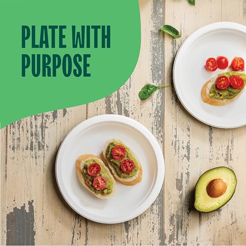 100% Compostable Paper Plates 7 Inch [1000 Count] Heavy