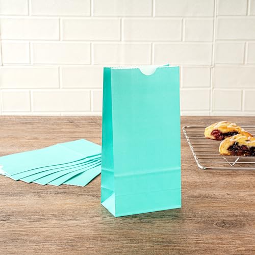 Turquoise Paper Bag (100 Count)