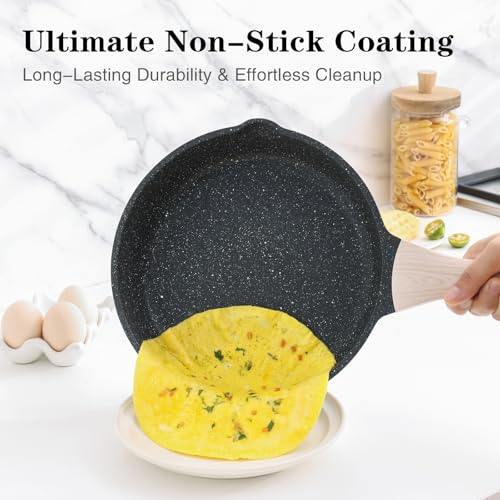 Non Stick Frying Pan Skillet