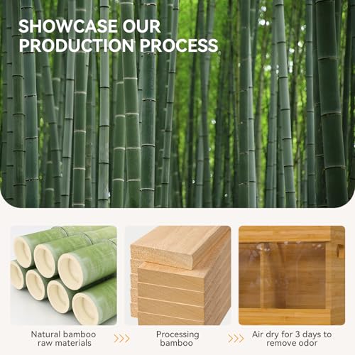 Bamboo Kitchen Utensil Holder with Drying Stone and 6 Compartments