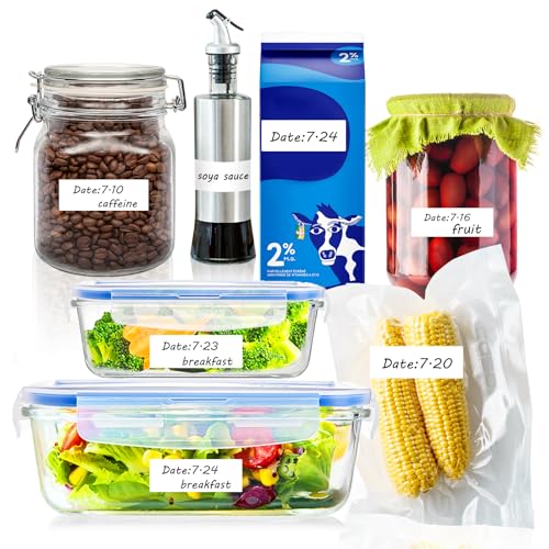 600 Blank Removable Freezer Labels with Perforation Line for Easy Distribution and Use. Waterproof and Oil (600 Count)