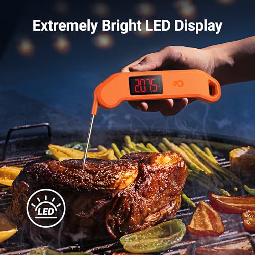 1 Sec Professional Digital Meat Thermometer