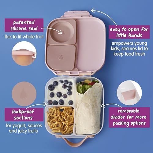 Mini Lunch Box