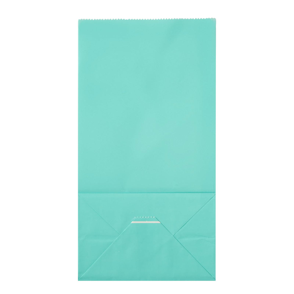 Turquoise Paper Bag (100 Count)