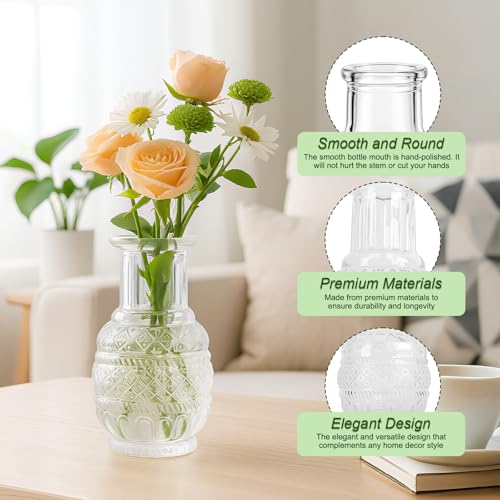 Glass Bud Vase Set of 12 Pcs (12 Count)