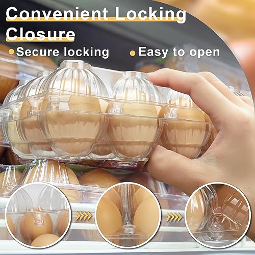 40 Pack Egg Cartons (40 Count)