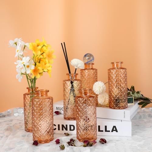 Glass Bud Vase (6 Count)