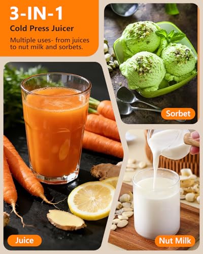 Slow Juicer with Reverse Function
