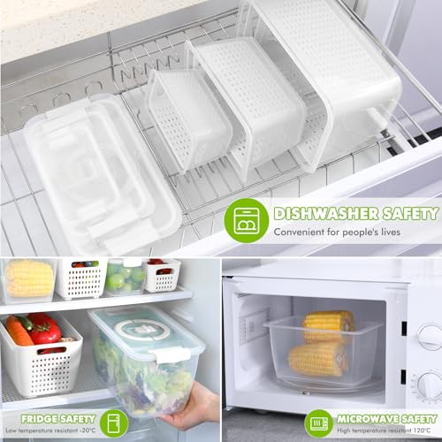 Produce containers for fridge (135.2561 Fl Oz)