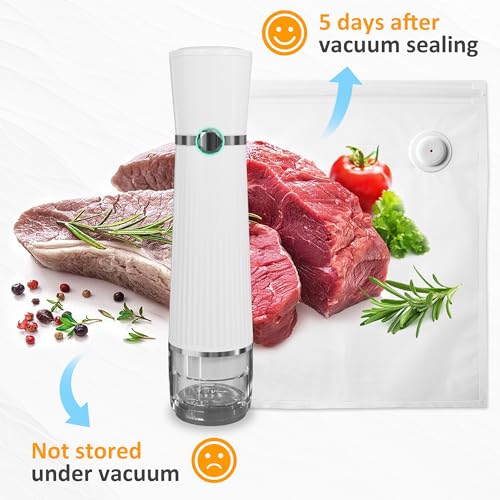 Handheld Vacuum Sealer for Food