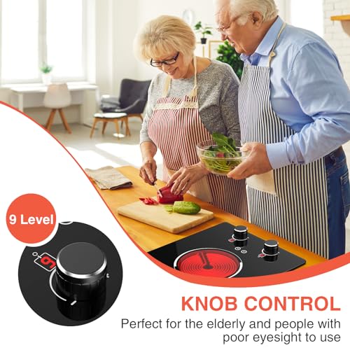 110v Electric Cooktop 2 Burners 12'' Electric Stove Top Knob Control