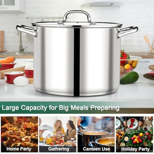 20 QT Stainless Steel Stock Pot with Lid