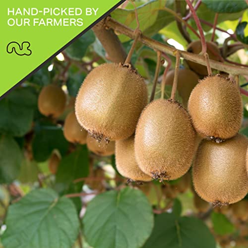 Dried Kiwi Slices (6 Ounce)