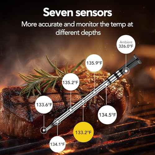 Smart Wireless Meat Thermometer