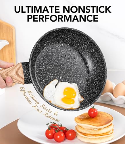 10 Inch Frying Pan with Lid