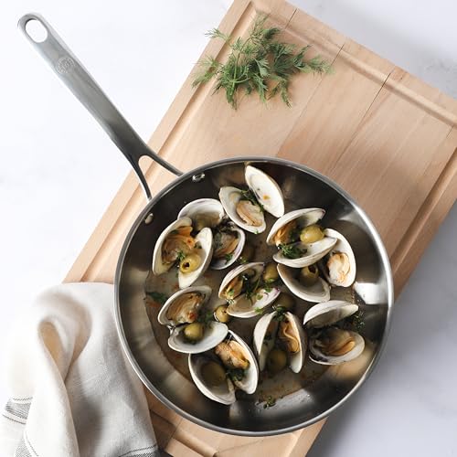 Castelle 10" Stainless Steel Frying Pan Non Toxic Fry Pan Skillet