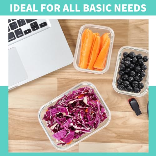 10 Pack Large Glass Meal Prep Containers