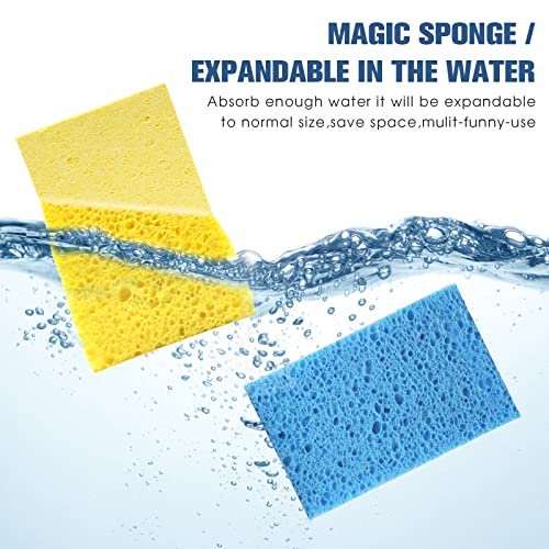 Compressed Cellulose Kitchen Sponges 12Pack (12 Count)