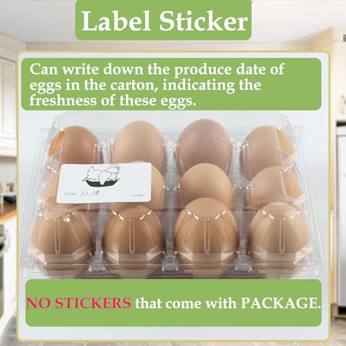 48 Pack Egg Cartons Cheap Bulk 12 Count