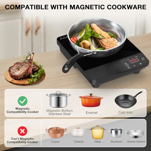 Portable Induction Cooktop 1800W