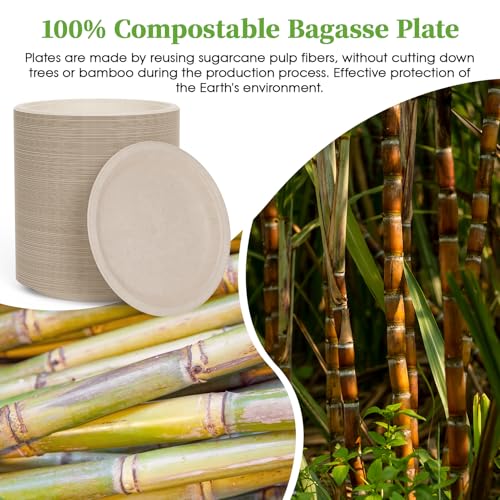 6 in 200 Pack Natural Disposable Compostable Dessert Paper Plates (200 Count)