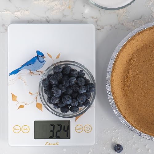 Arti Blue Jay Glass Food Scale Digital Countertop Kitchen