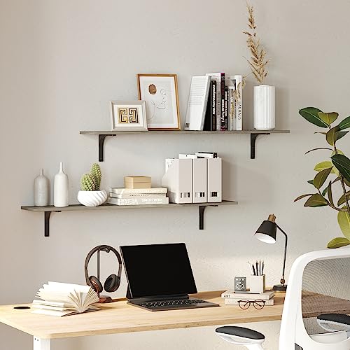 Long Wall Shelves (2 Count)