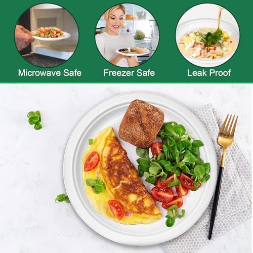 9 inch Disposable Paper Plates 200 Pack (200 Count)