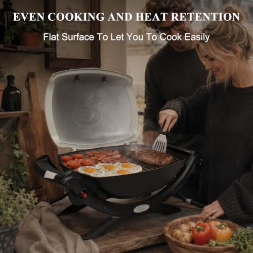 Cast Iron Griddle for Weber Q100