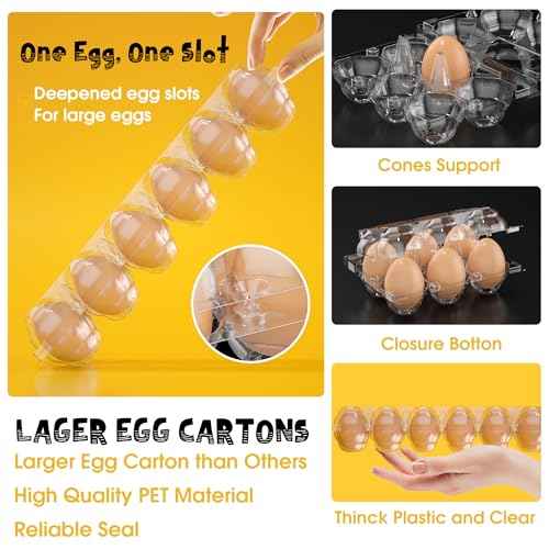 100 Pack Large Egg Cartons Cheap Bulk 12 Count Plastic Egg Containers 2x6 (100 Count)