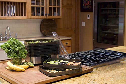 Food Dehydrator Machine for Jerky