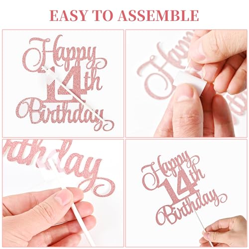 14th Birthday Cake Decorations (9 Count)
