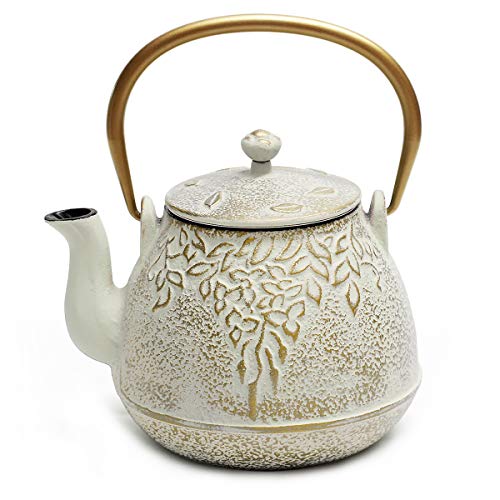 Cast Iron Tea Kettle