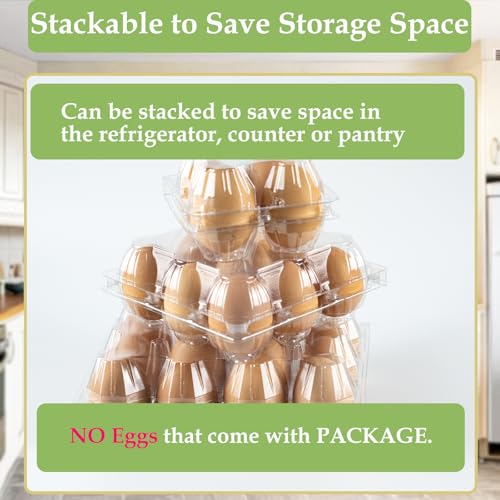48 Pack Egg Cartons Cheap Bulk 12 Count